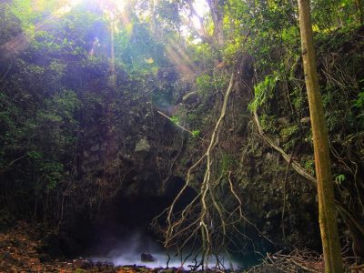 Gua Kelelawar di Pulau Sangiang, Banten, dihuni ribuan kelelawar dengan fenomena langka ikan hiu menunggu mangsa jatuh dari langit-langit gua/Foto: Indonesia Kaya