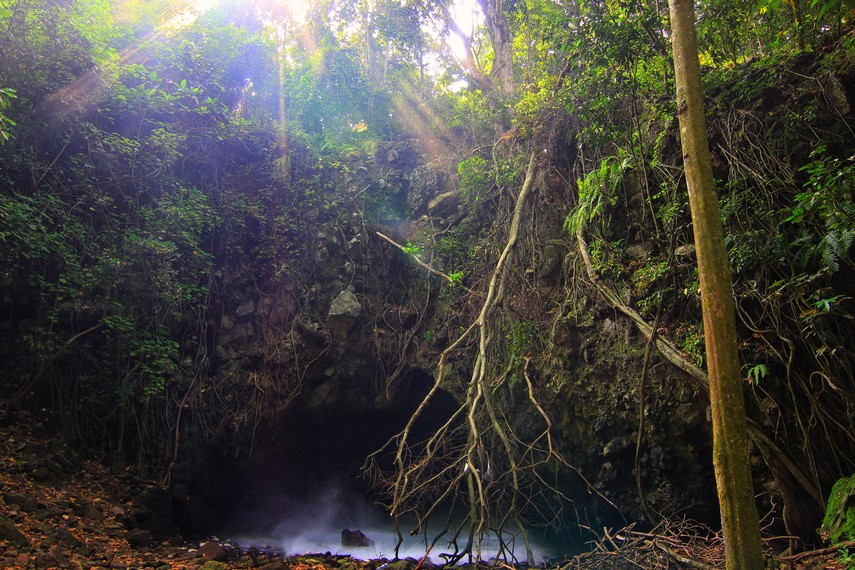 Gua Kelelawar di Pulau Sangiang, Banten, dihuni ribuan kelelawar dengan fenomena langka ikan hiu menunggu mangsa jatuh dari langit-langit gua/Foto: Indonesia Kaya
