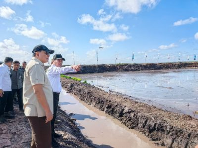 Menteri Pertanian, Amran saat berkunjung ke Merauke beberapa waktu yang lalu/Foto: Humas Kementan