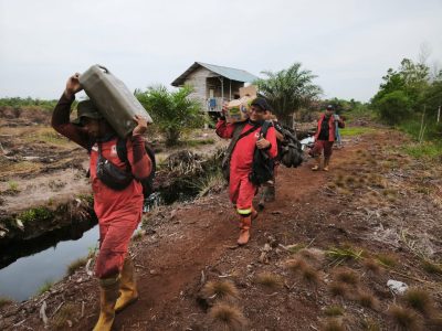Kebakaran lahan gambut seluas 1 hektare di Kelurahan Air Hitam, Pekanbaru, berhasil dipadamkan tim gabungan setelah dua hari/Foto: Media Center Pekanbaru