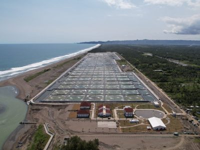Lokasi tambak Budidaya Udang Berbasis Kawasan (BUBK) di Kebumen, Jawa Tengah/Foto: Humas KKP