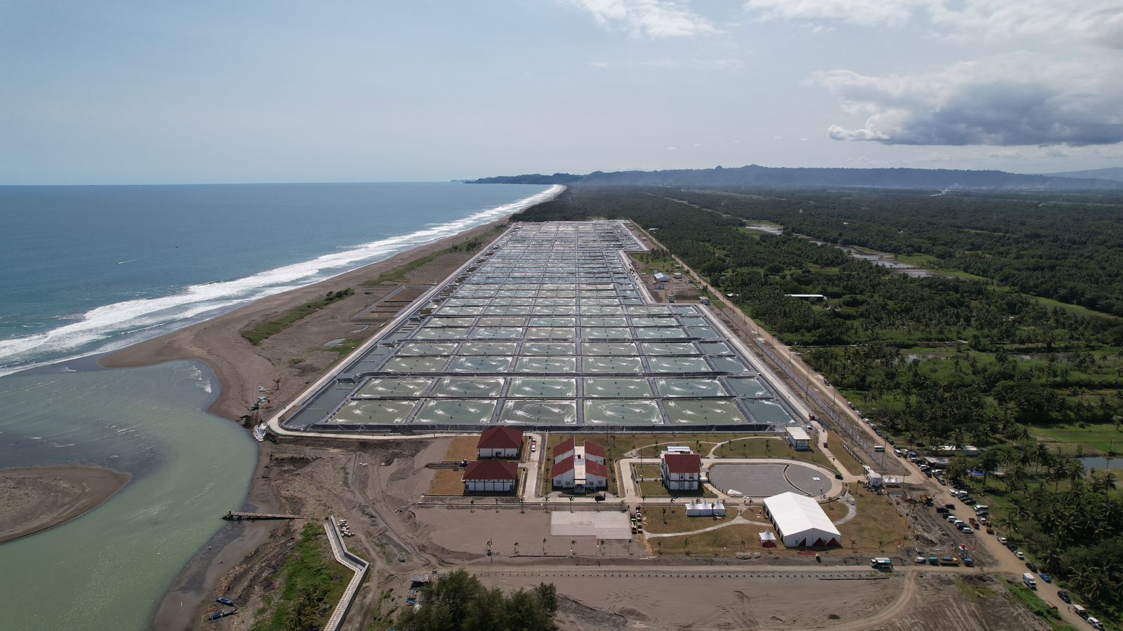 Lokasi tambak Budidaya Udang Berbasis Kawasan (BUBK) di Kebumen, Jawa Tengah/Foto: Humas KKP