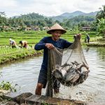 Komisi IV DPR dorong KKP perkuat program nelayan: pabrik pakan, subsidi asuransi, jaminan harga ikan, dan integrasi budidaya di sawah/Ilustrasi: Indoragamnewscom