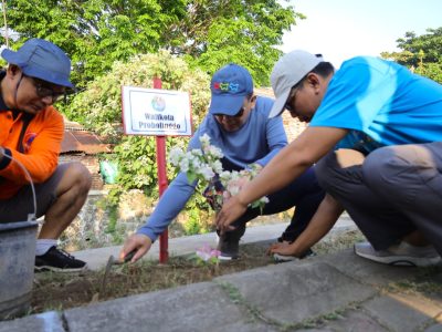 Pemkot Probolinggo tanam 200+ bougenville di jalur jogging track Gladak Serang. Kawasan disiapkan jadi destinasi wisata dengan konsep wisata air dan peluang UMKM/Foto: Media Center Probolinggo