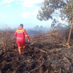 Tim Manggala Agni tempuh 8 jam padamkan karhutla di Rokan Hilir. Drone digunakan untuk pemetaan dan strategi pemadaman di Desa Pulau Serdang.