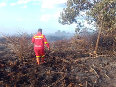 Tim Manggala Agni tempuh 8 jam padamkan karhutla di Rokan Hilir. Drone digunakan untuk pemetaan dan strategi pemadaman di Desa Pulau Serdang.